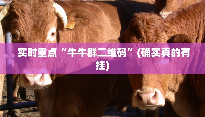 实时重点“牛牛群二维码”(确实真的有挂) 实时重点“牛牛群二维码”(确实真的有挂)