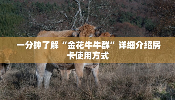一分钟了解“金花牛牛群”详细介绍房卡使用方式 一分钟了解“金花牛牛群”详细介绍房卡使用方式