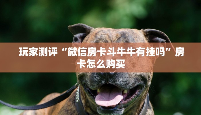  实时通报“微信牛牛房卡招代理”(详细房卡教程)