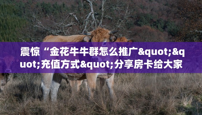 房卡百科“皇豪互娱购买房卡""低价获取"!’分享房卡给大家 房卡百科“皇豪互娱购买房卡""低价获取"!’分享房卡给大家