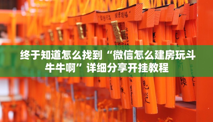  终于知道怎么找到“微信怎么建房玩斗牛牛啊”详细分享开挂教程