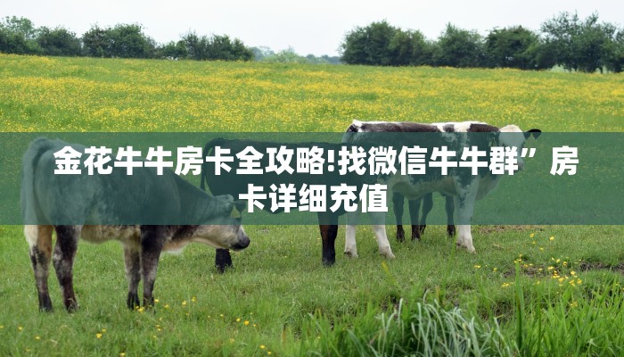 金花牛牛房卡全攻略!找微信牛牛群”房卡详细充值 金花牛牛房卡全攻略!找微信牛牛群”房卡详细充值