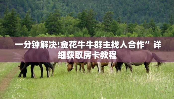  终于知道“微信牛牛金花房卡怎么弄哪里有”房卡使用方法介绍