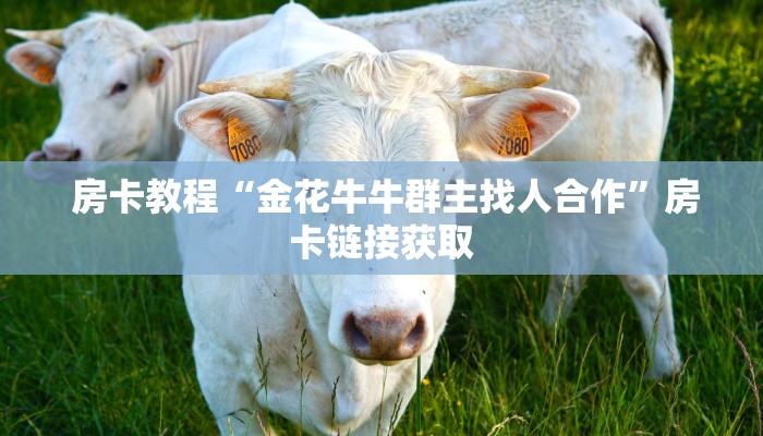 独家解读“微信怎么玩牛牛金花”房卡详细充值 独家解读“微信怎么玩牛牛金花”房卡详细充值