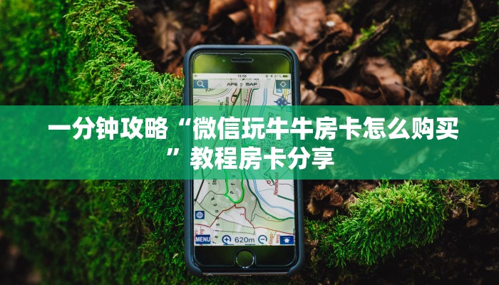 一分钟攻略“微信玩牛牛房卡怎么购买”教程房卡分享 一分钟攻略“微信玩牛牛房卡怎么购买”教程房卡分享