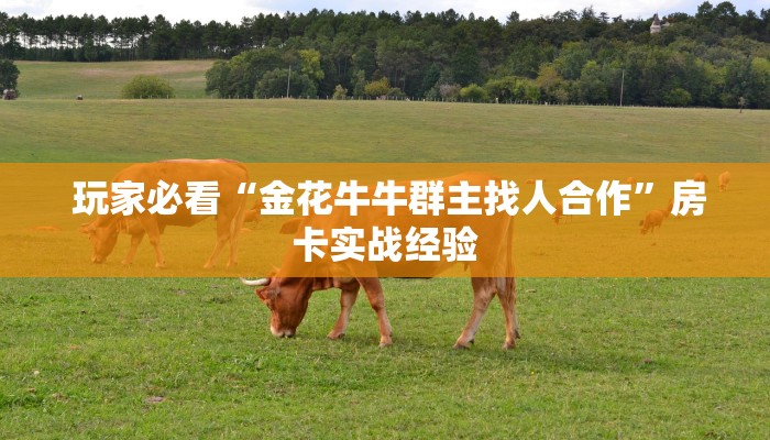 玩家必看“金花牛牛群主找人合作”房卡实战经验 玩家必看“金花牛牛群主找人合作”房卡实战经验