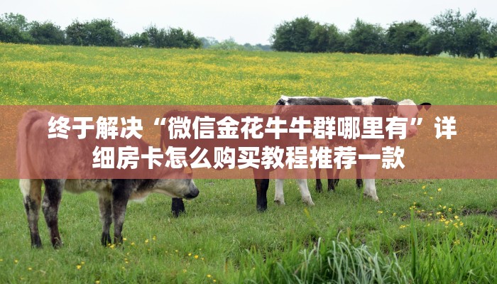 终于知道怎么找到“微信牛牛金花房卡怎么弄哪里有”详细分享开挂教程 终于知道怎么找到“微信牛牛金花房卡怎么弄哪里有”详细分享开挂教程