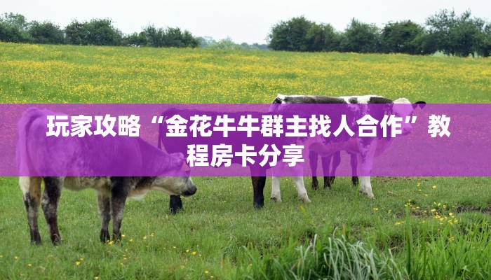 玩家攻略“金花牛牛群主找人合作”教程房卡分享 玩家攻略“金花牛牛群主找人合作”教程房卡分享