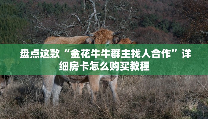 震惊“微信牛牛链接版 有房卡”详细房卡教程 震惊“微信牛牛链接版 有房卡”详细房卡教程