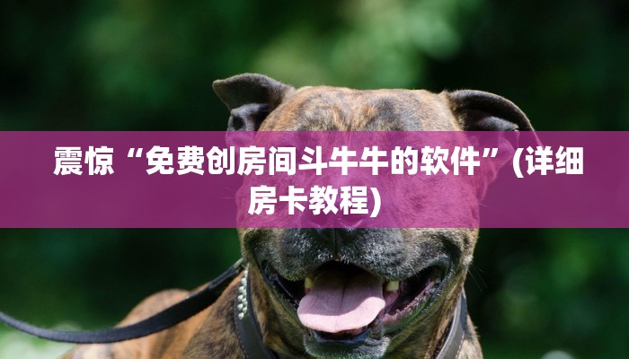  3分钟学会“微信金花房卡链接多少钱”详细介绍房卡使用方式