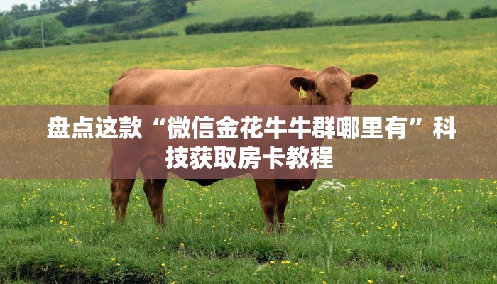 盘点这款“微信金花牛牛群哪里有”科技获取房卡教程 盘点这款“微信金花牛牛群哪里有”科技获取房卡教程