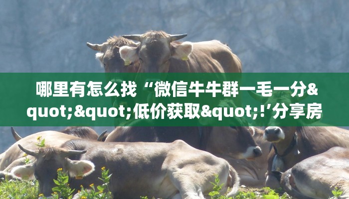 哪里有怎么找“微信牛牛群一毛一分""低价获取"!’分享房卡给大家 哪里有怎么找“微信牛牛群一毛一分""低价获取"!’分享房卡给大家