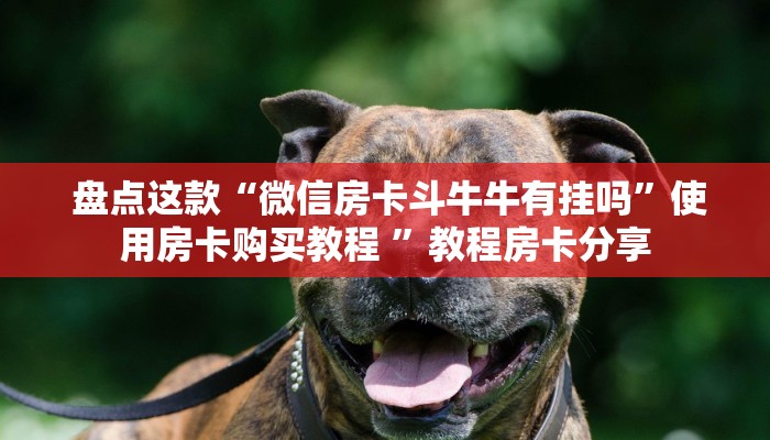  给大家讲解“微信玩炸金花房卡链接”房卡使用教程