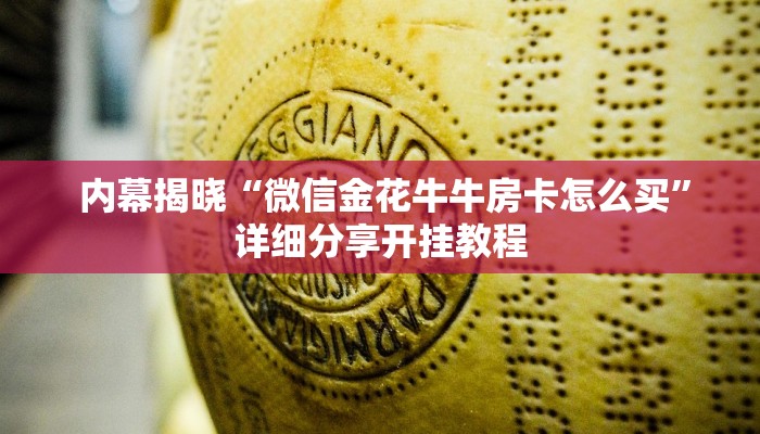 内幕揭晓“微信金花牛牛房卡怎么买”详细分享开挂教程 内幕揭晓“微信金花牛牛房卡怎么买”详细分享开挂教程