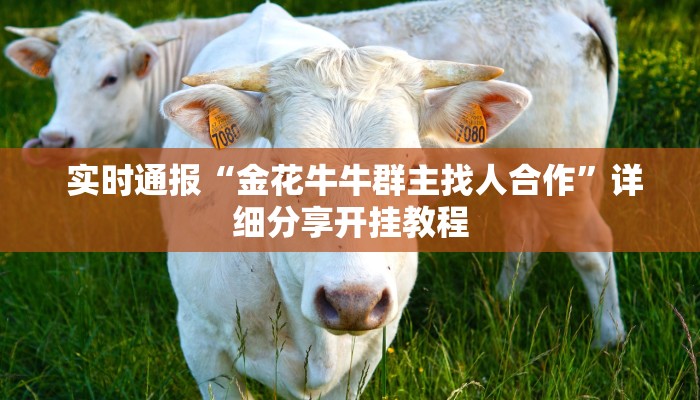  独家解读“皇豪互娱怎么弄房卡”详细房卡教程