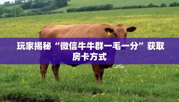 玩家必看“微信房卡斗牛透视原理”获取房卡方式 玩家必看“微信房卡斗牛透视原理”获取房卡方式
