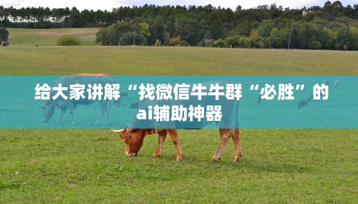 给大家讲解“找微信牛牛群“必胜”的ai辅助神器 给大家讲解“找微信牛牛群“必胜”的ai辅助神器