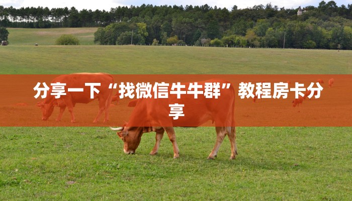 分享一下“找微信牛牛群”教程房卡分享 分享一下“找微信牛牛群”教程房卡分享