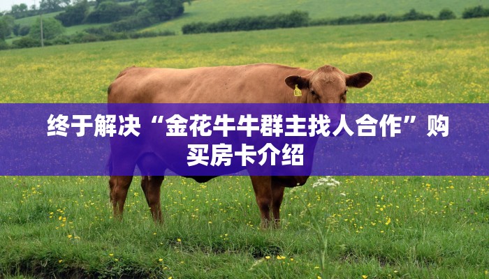 终于解决“金花牛牛群主找人合作”购买房卡介绍 终于解决“金花牛牛群主找人合作”购买房卡介绍