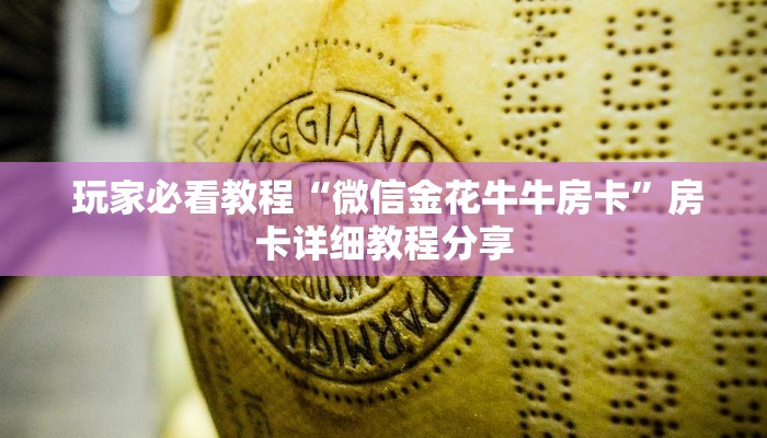  重要信息“微信金花房卡哪里买”详细分享开挂教程
