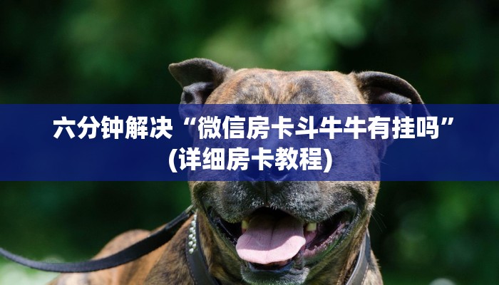  必备教程“填大坑微信链接房卡”如何获取房卡