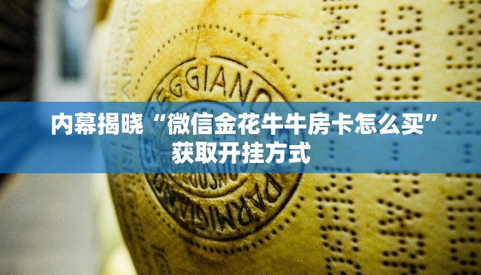 独家解读“微信炸 金花房卡怎么开”详细介绍房卡使用方式 独家解读“微信炸 金花房卡怎么开”详细介绍房卡使用方式