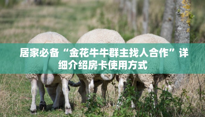 居家必备“金花牛牛群主找人合作”详细介绍房卡使用方式 居家必备“金花牛牛群主找人合作”详细介绍房卡使用方式