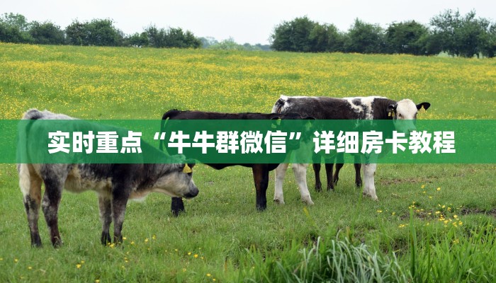  实时重点“牛牛群微信”详细房卡教程
