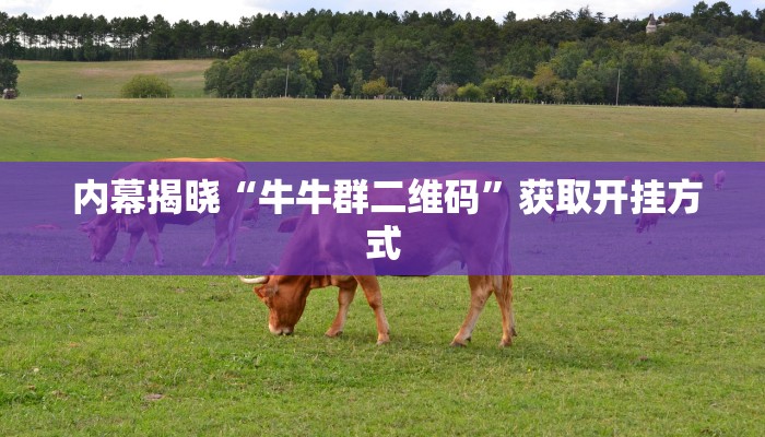 内幕揭晓“牛牛群二维码”获取开挂方式 内幕揭晓“牛牛群二维码”获取开挂方式