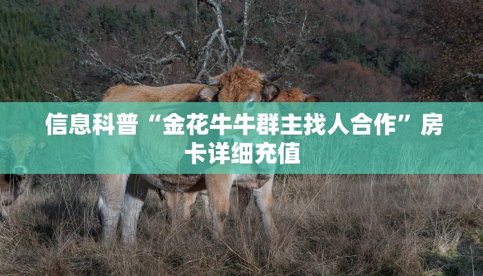 信息科普“金花牛牛群主找人合作”房卡详细充值 信息科普“金花牛牛群主找人合作”房卡详细充值