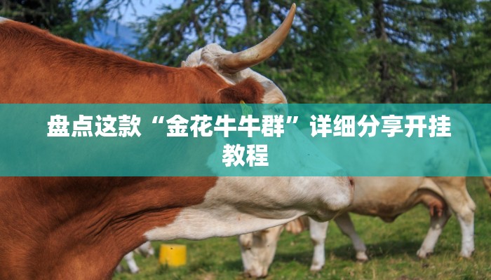 盘点这款“金花牛牛群”详细分享开挂教程 盘点这款“金花牛牛群”详细分享开挂教程