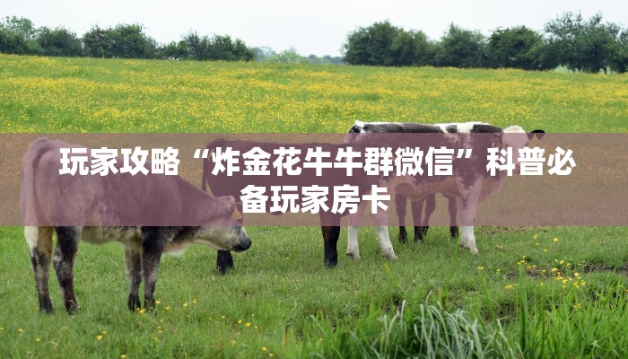 玩家攻略“炸金花牛牛群微信”科普必备玩家房卡 玩家攻略“炸金花牛牛群微信”科普必备玩家房卡