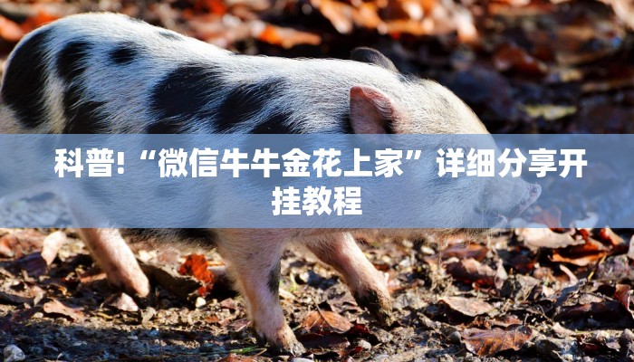 科普!“微信牛牛金花上家”详细分享开挂教程 科普!“微信牛牛金花上家”详细分享开挂教程