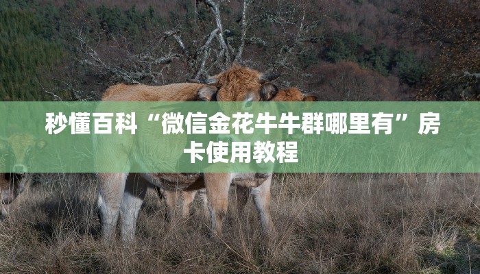秒懂百科“微信金花牛牛群哪里有”房卡使用教程 秒懂百科“微信金花牛牛群哪里有”房卡使用教程