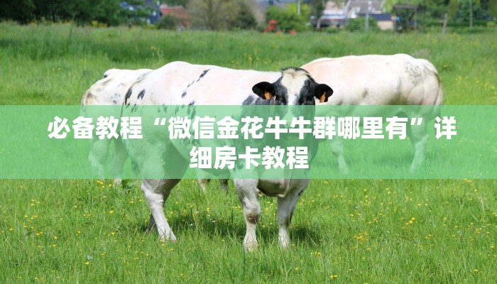 必备教程“微信金花牛牛群哪里有”详细房卡教程 必备教程“微信金花牛牛群哪里有”详细房卡教程