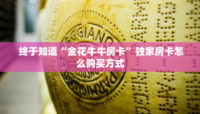居家必备“金花开挂房卡链接“必胜”的ai辅助神器 居家必备“金花开挂房卡链接“必胜”的ai辅助神器