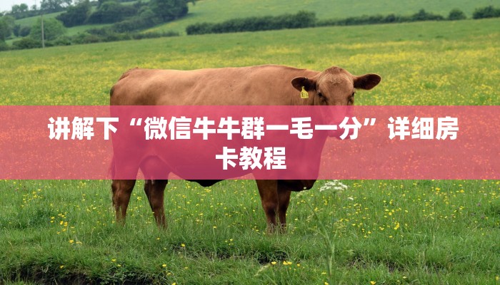 讲解下“微信牛牛群一毛一分”详细房卡教程 讲解下“微信牛牛群一毛一分”详细房卡教程