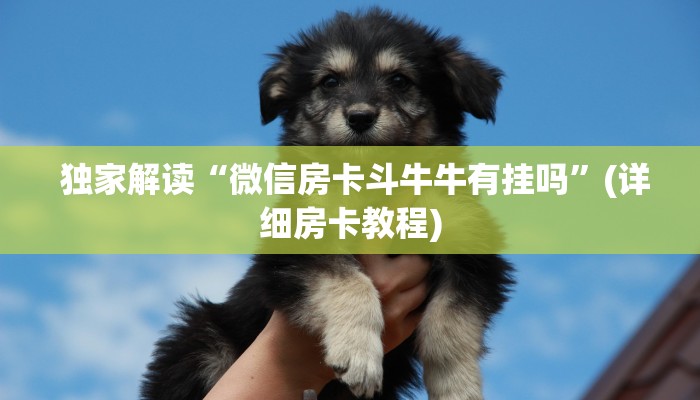 独家解读“微信房卡斗牛牛有挂吗”(详细房卡教程) 独家解读“微信房卡斗牛牛有挂吗”(详细房卡教程)