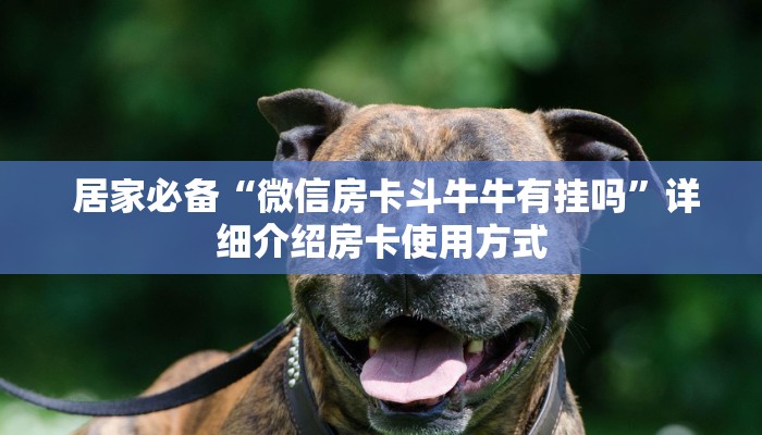 居家必备“微信房卡斗牛牛有挂吗”详细介绍房卡使用方式 居家必备“微信房卡斗牛牛有挂吗”详细介绍房卡使用方式