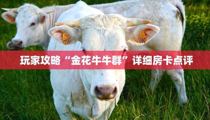  5秒详论!微信拼三张金花房卡找谁买”详细房卡教程