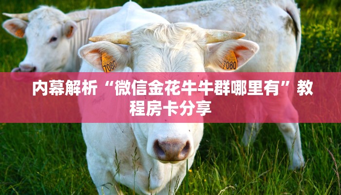  游戏测评“金花房卡系列”房卡链接获取