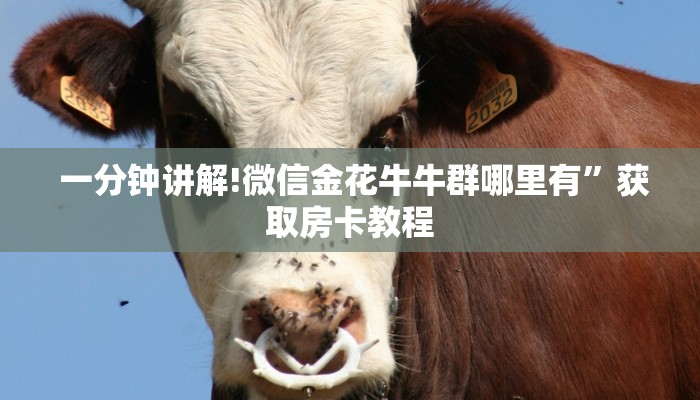 一分钟讲解!微信金花牛牛群哪里有”获取房卡教程 一分钟讲解!微信金花牛牛群哪里有”获取房卡教程
