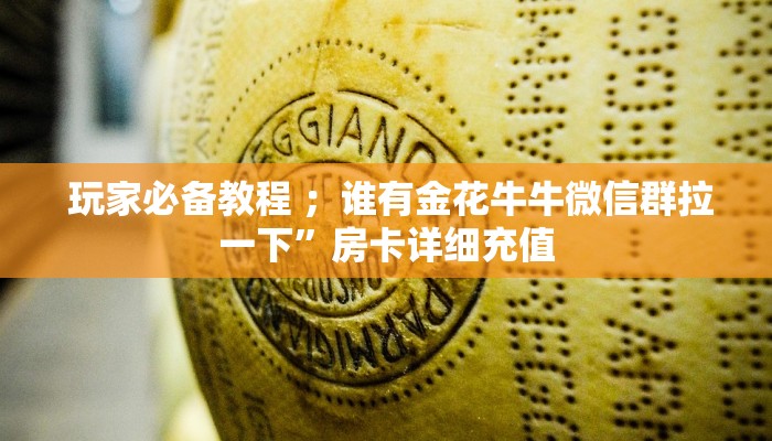 玩家必备教程 ;谁有金花牛牛微信群拉一下”房卡详细充值 玩家必备教程 ;谁有金花牛牛微信群拉一下”房卡详细充值