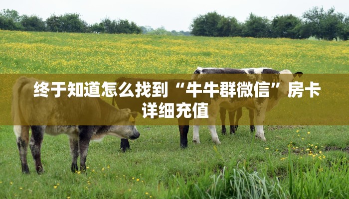 终于知道怎么找到“牛牛群微信”房卡详细充值 终于知道怎么找到“牛牛群微信”房卡详细充值