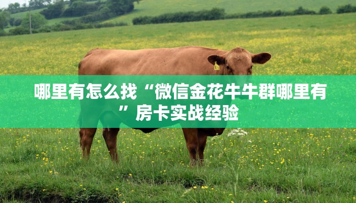 哪里有怎么找“微信金花牛牛群哪里有”房卡实战经验 哪里有怎么找“微信金花牛牛群哪里有”房卡实战经验