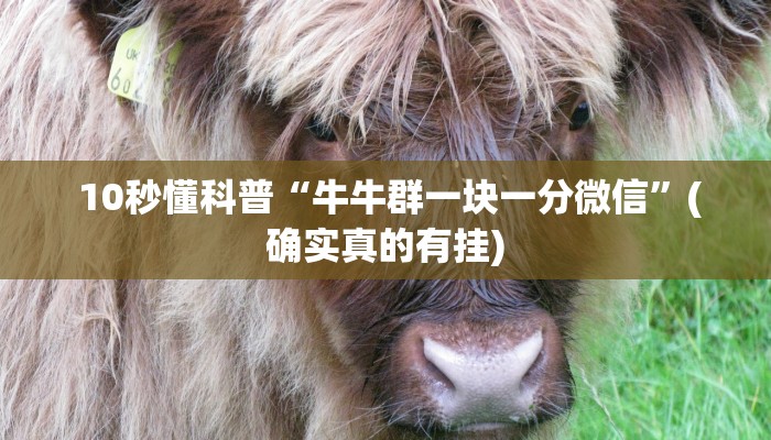 10秒懂科普“牛牛群一块一分微信”(确实真的有挂) 10秒懂科普“牛牛群一块一分微信”(确实真的有挂)