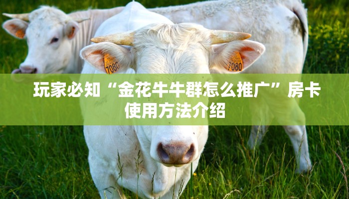 玩家必知“金花牛牛群怎么推广”房卡使用方法介绍 玩家必知“金花牛牛群怎么推广”房卡使用方法介绍
