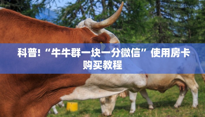 科普!“牛牛群一块一分微信”使用房卡购买教程 科普!“牛牛群一块一分微信”使用房卡购买教程