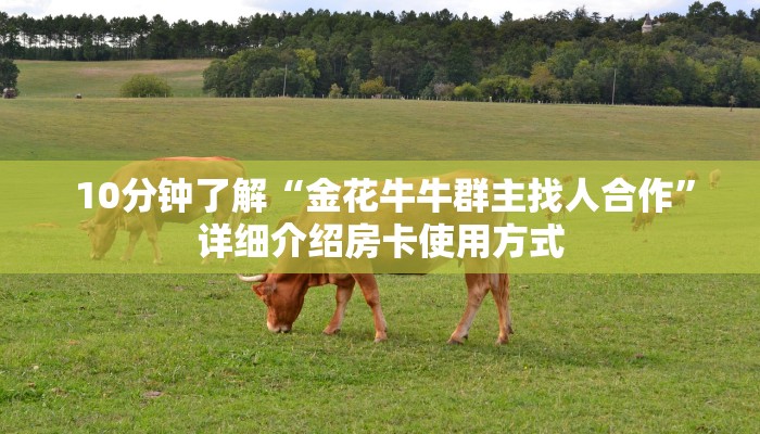 10分钟了解“金花牛牛群主找人合作”详细介绍房卡使用方式 10分钟了解“金花牛牛群主找人合作”详细介绍房卡使用方式