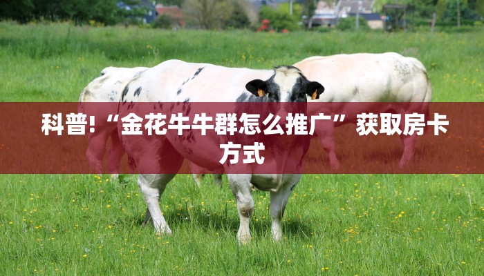  科普!“金花牛牛群怎么推广”获取房卡方式